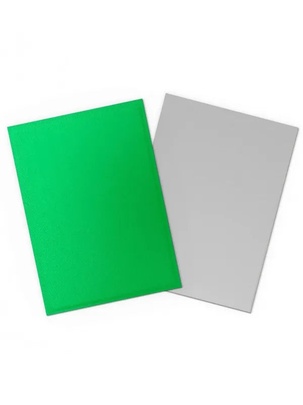 Dragon Shield Fundas Standard Dual Matte Apple Green & Silver (100)